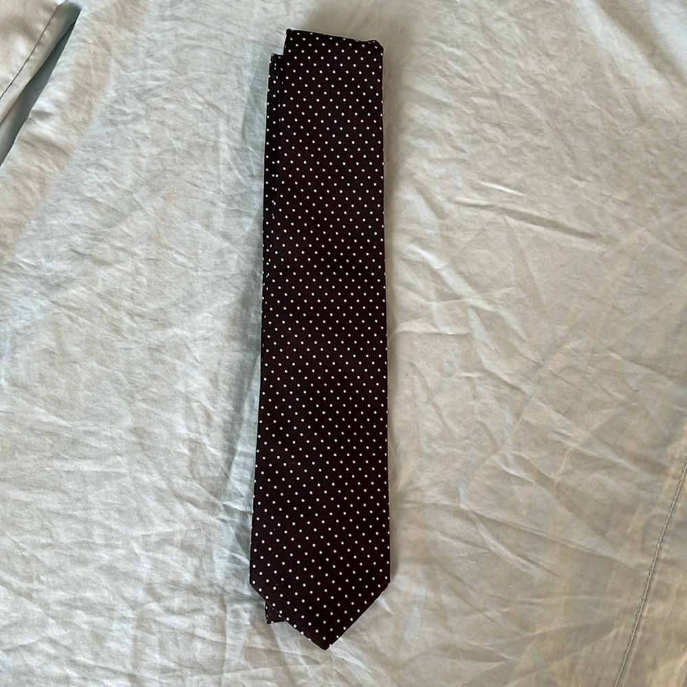 Mens Brown & White Dot Tie